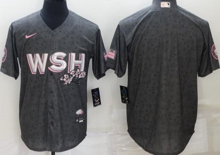 Men's Washington Nationals Blank Gray 2022 City Connect Cool Base Jersey