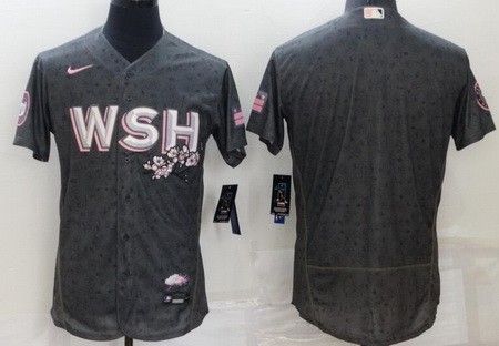 Men's Washington Nationals Blank Gray 2022 City Connect Authentic Jersey