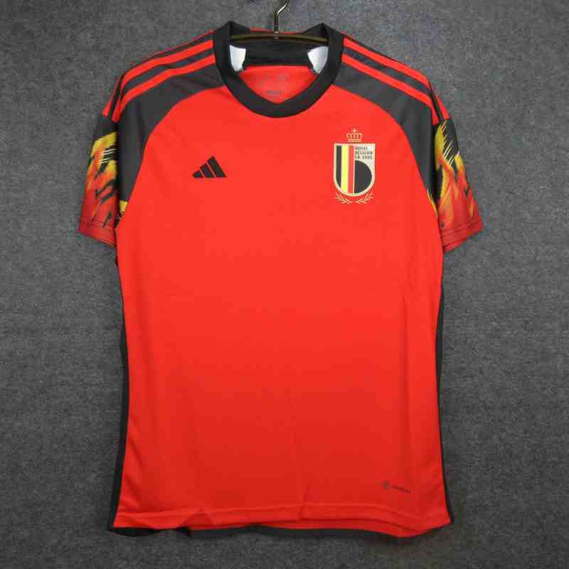 2022 World Cup Belgium home