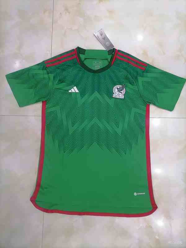 2022  Mexico  home