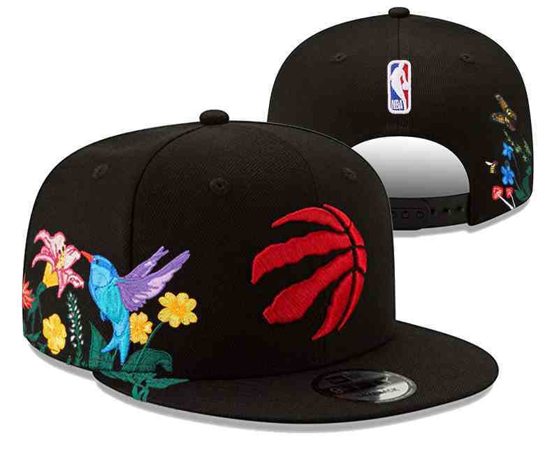 Toronto Raptors Snapback cap YD3