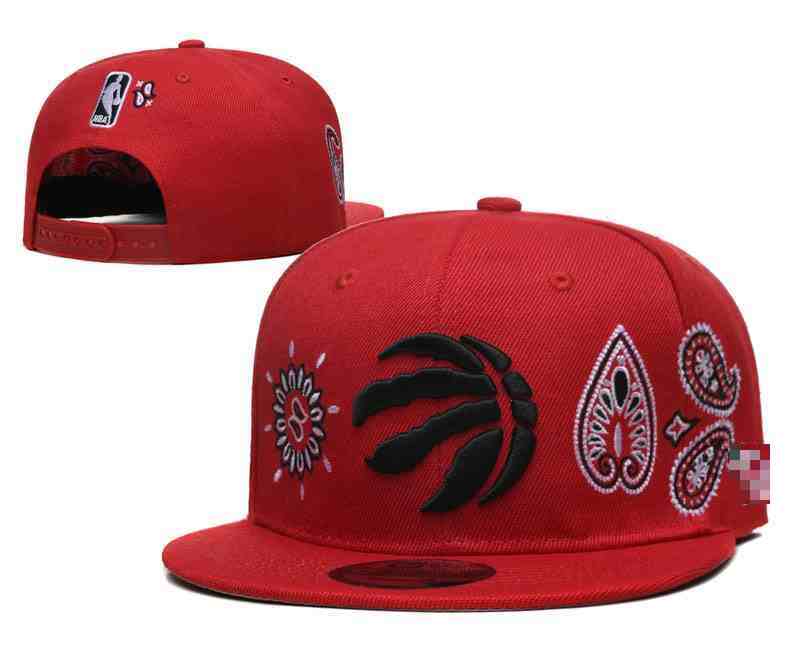 Toronto Raptors Snapback cap YD5