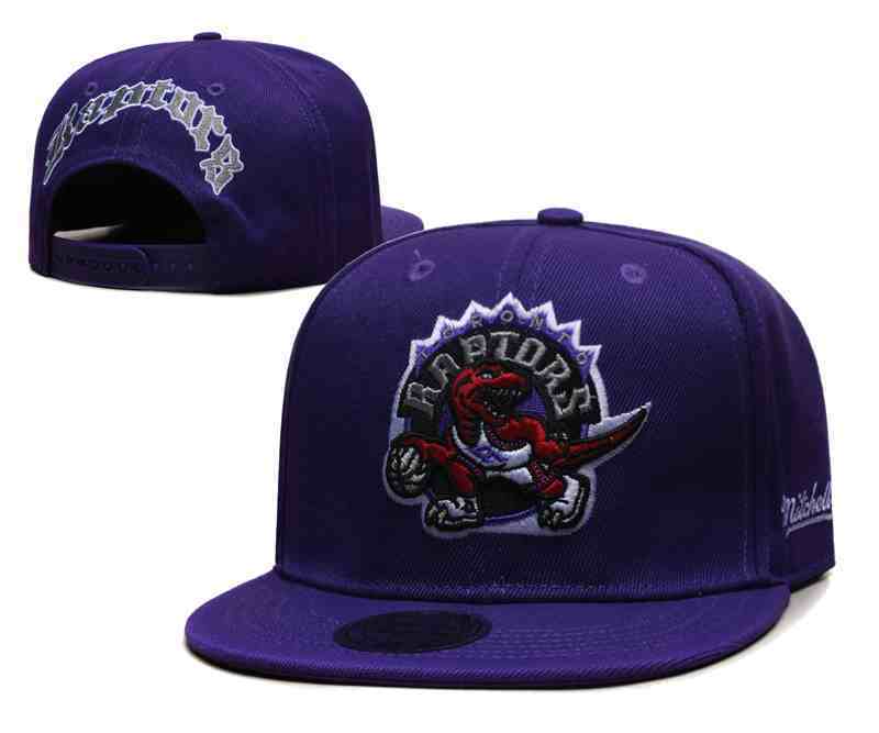 Toronto Raptors Snapback cap TX