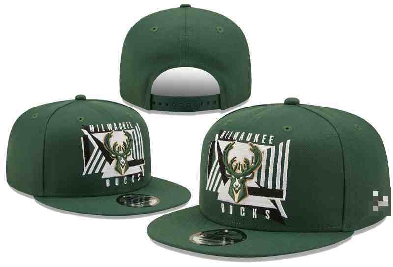 Milwaukee Bucks Snapback cap TY1
