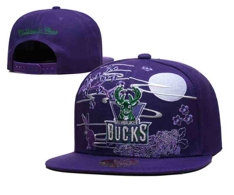 Milwaukee Bucks Snapback cap YD5