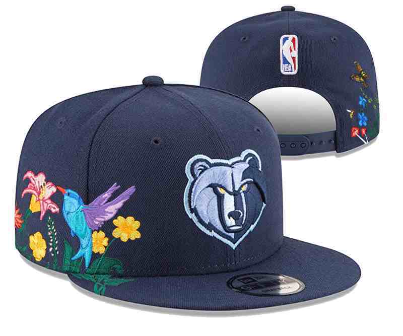 Memphis Grizzlies  Snapback cap YD3