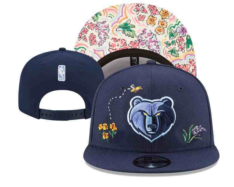 Memphis Grizzlies  Snapback cap YD