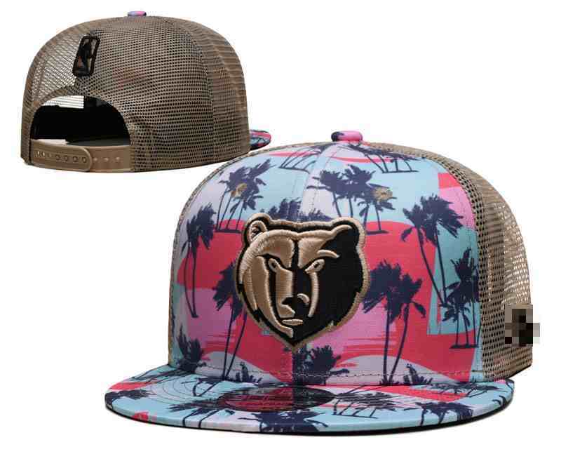 Memphis Grizzlies  Snapback cap XH1