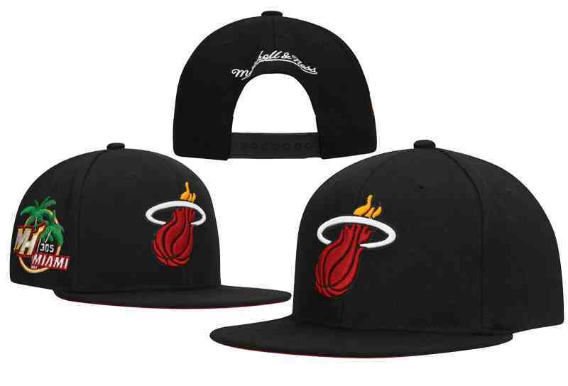 Miami Heat Snapback cap TY2