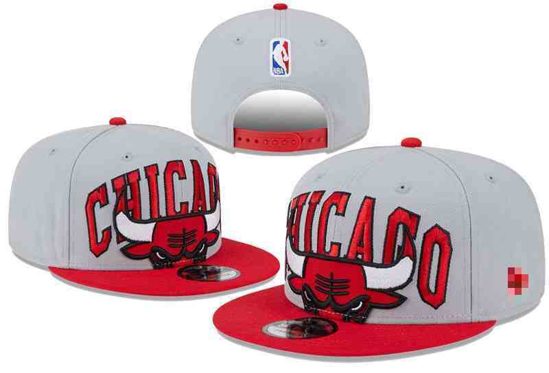 Chicago Bulls Snapback CAP TY3