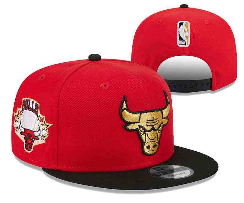 Chicago Bulls Snapback CAP YD2