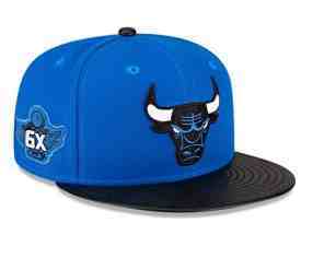 Chicago Bulls Snapback CAP TX(PNG)