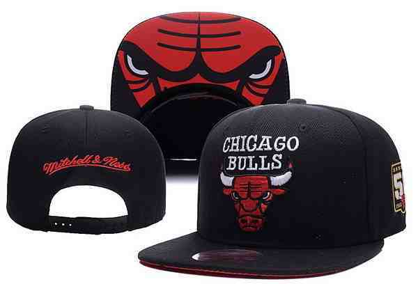 Chicago Bulls Snapback CAP TY50