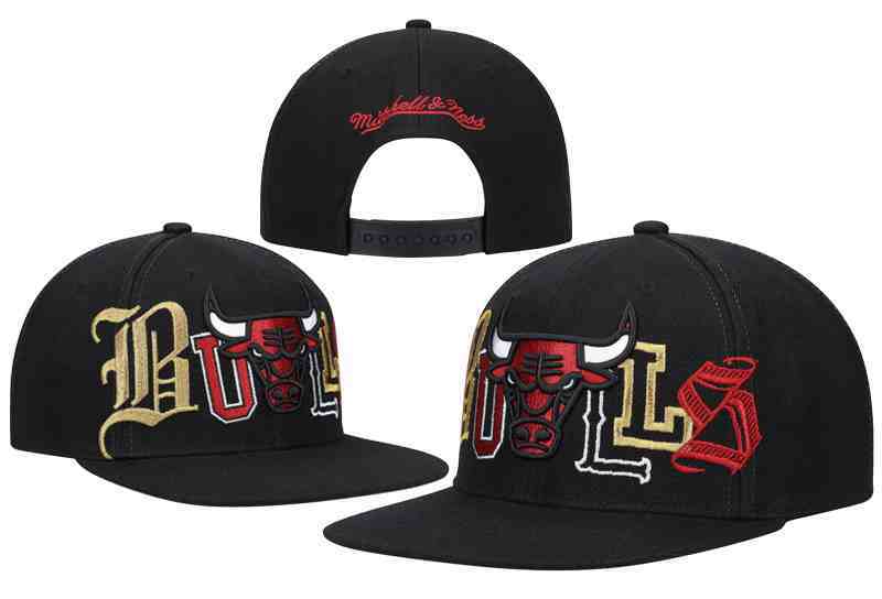 Chicago Bulls Snapback CAP TY29