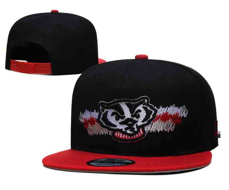 Wisconsin Badgers   Snapback CAP YD2
