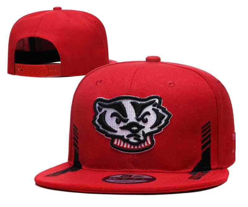 Wisconsin Badgers   Snapback CAP YD1