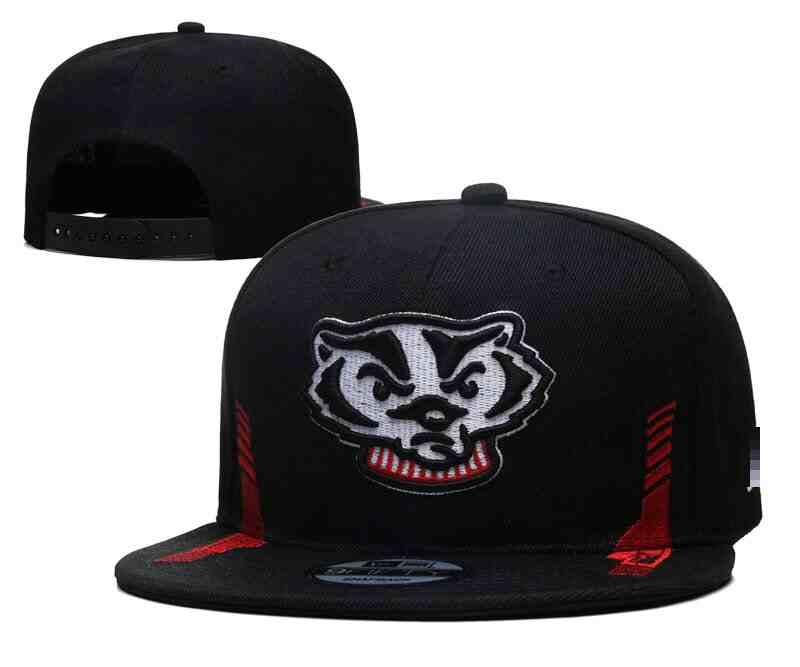 Wisconsin Badgers   Snapback CAP YD