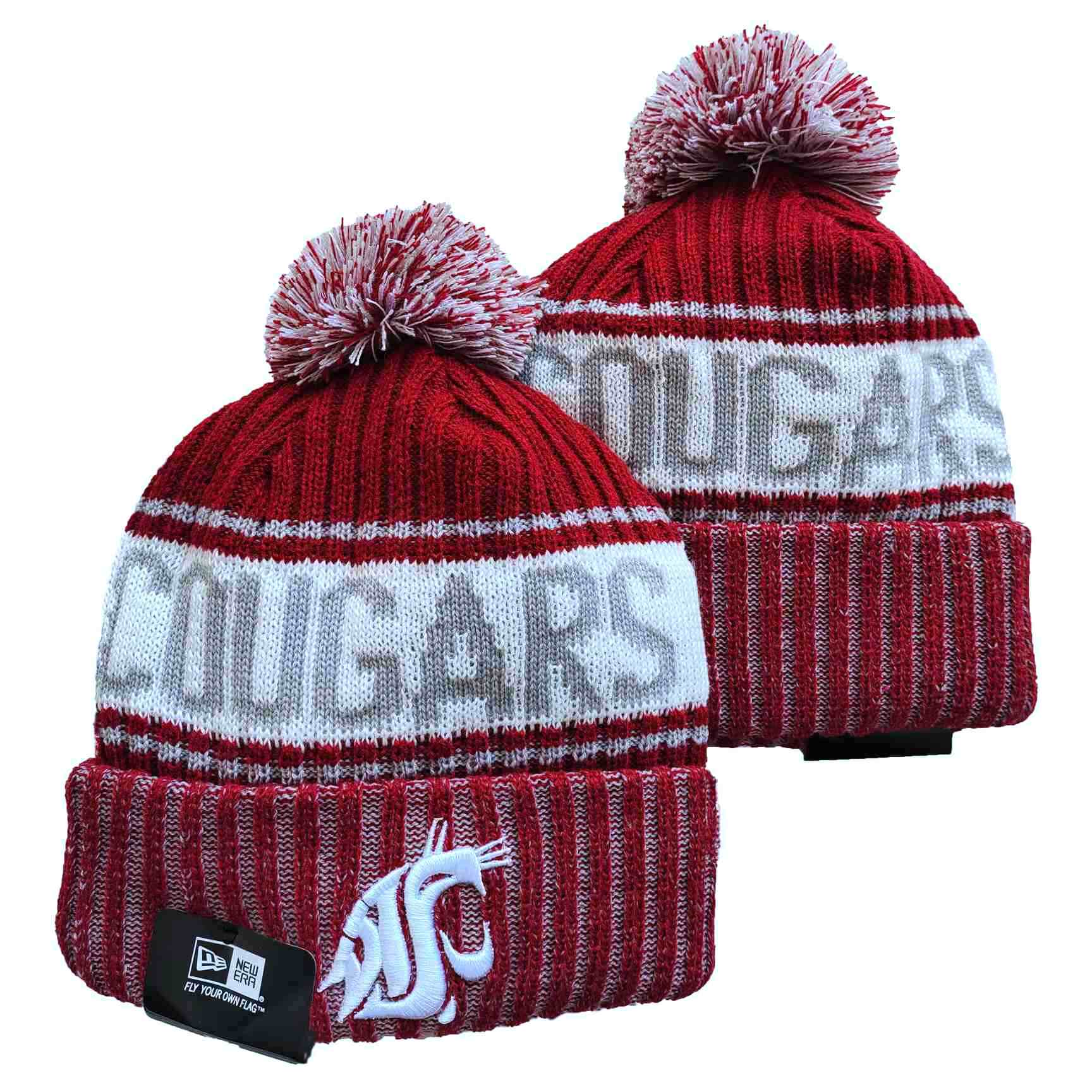 Washington State Cougars knit hat YD1
