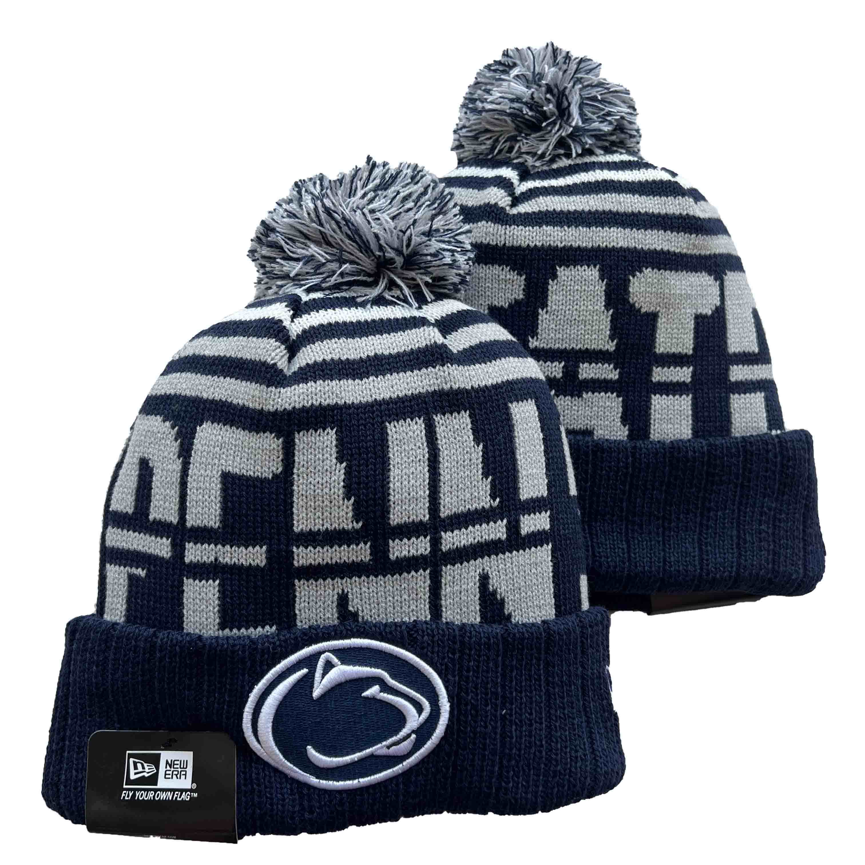 Penn State Nittany Lions knit hat YD2