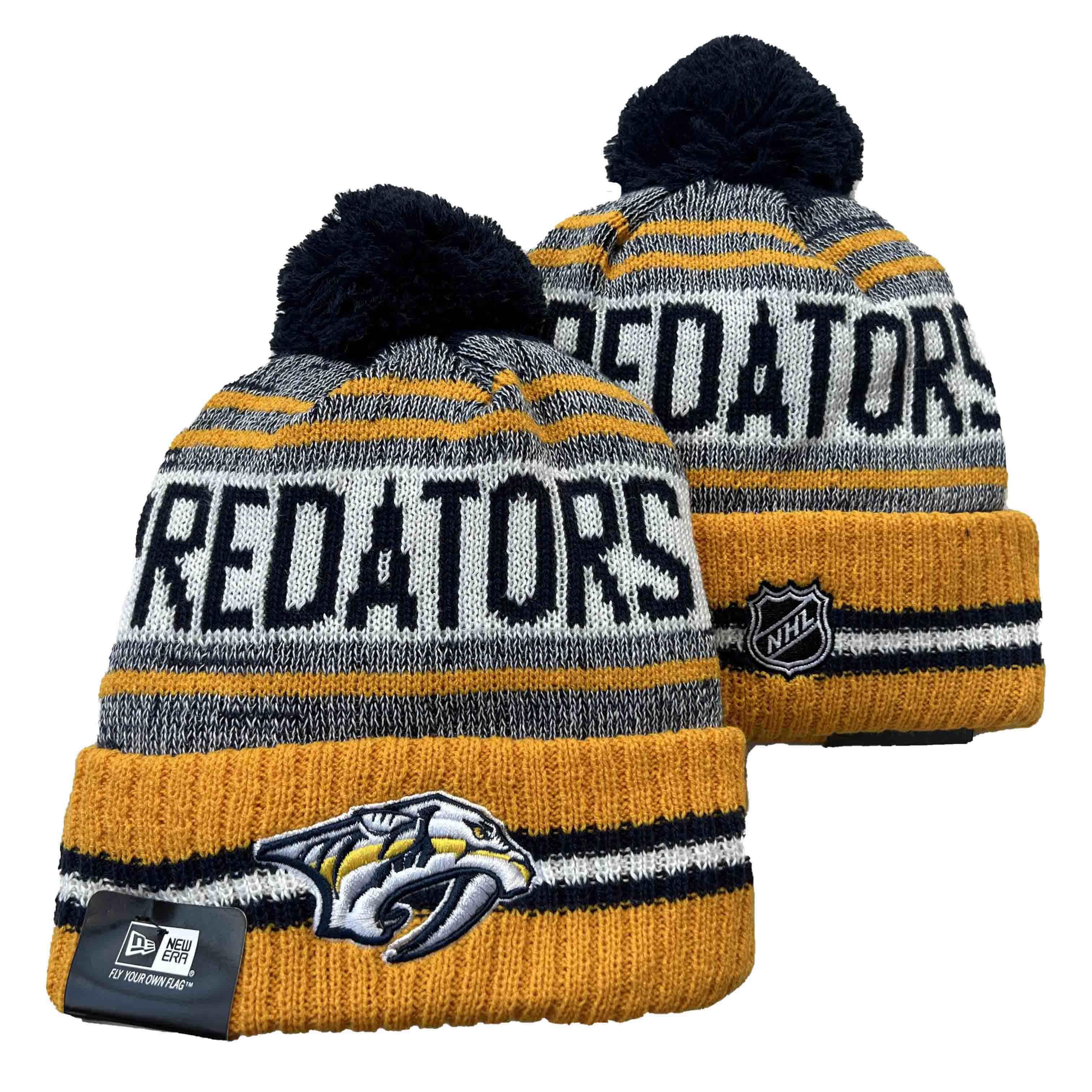 Nashville Predators knit hat YD