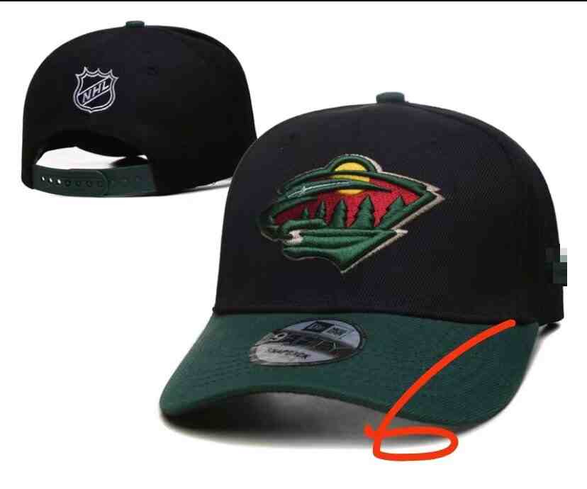 Minnesota Wild Snapback CAP TX