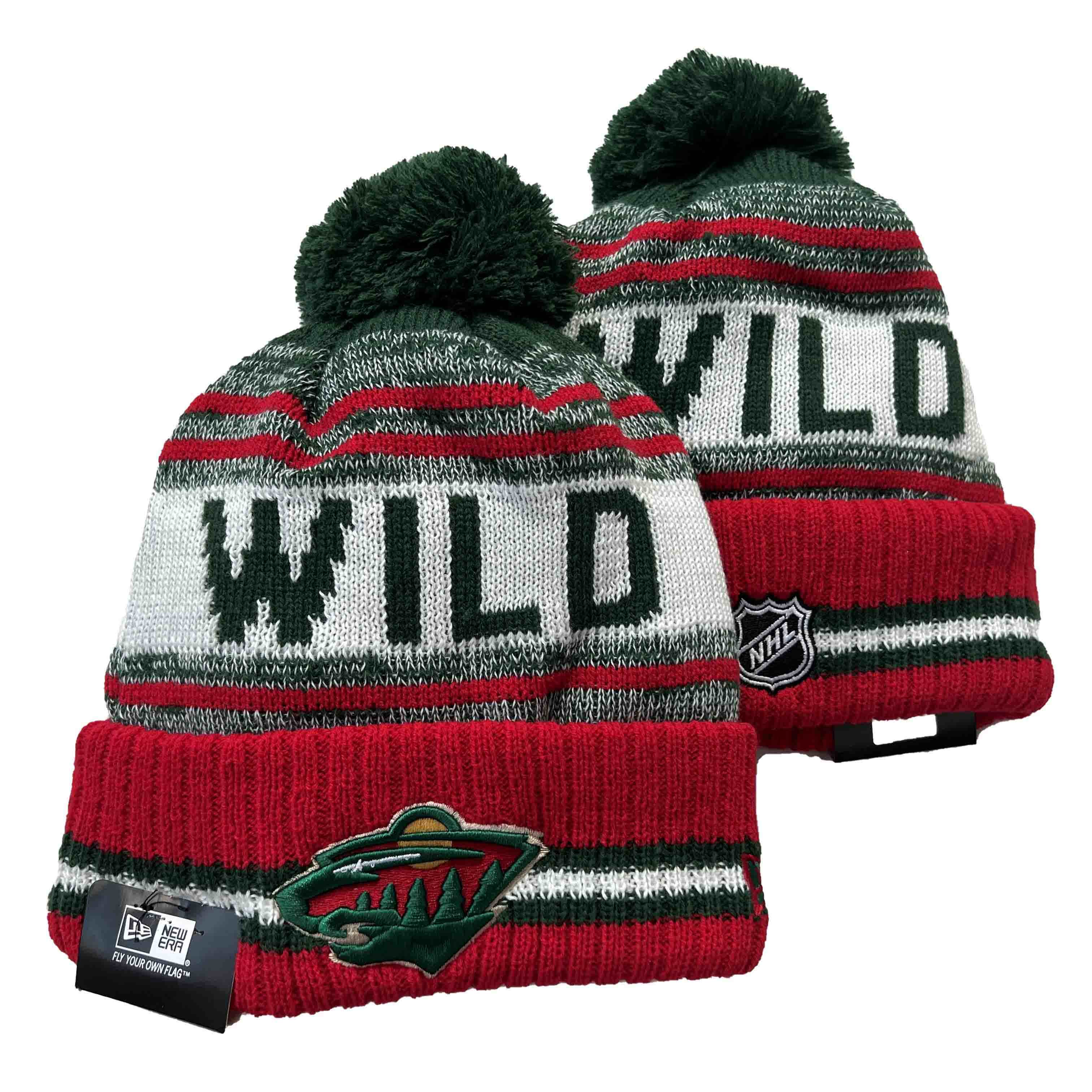 Minnesota Wild knit hat YD