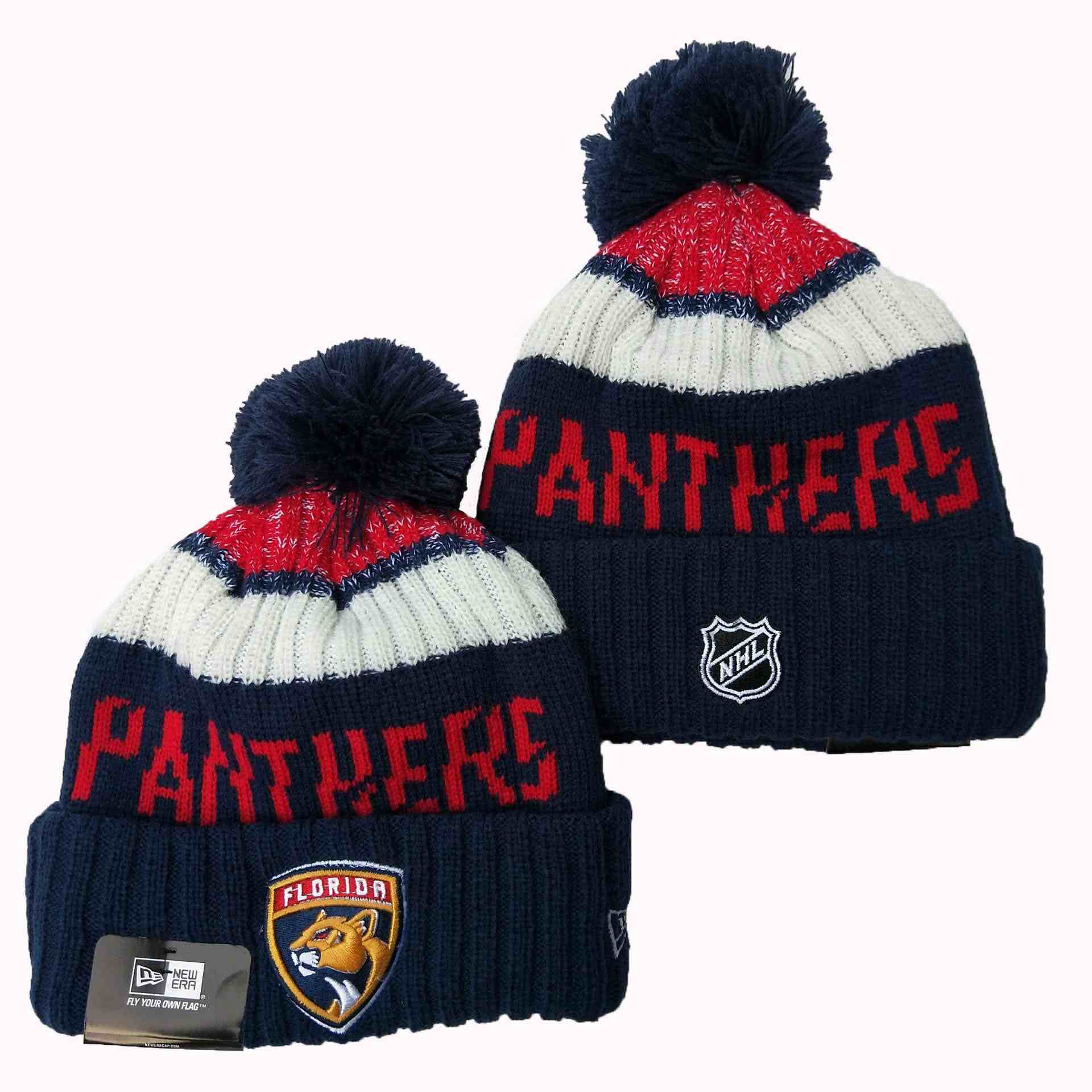 Florida Panthers knit hat YD1