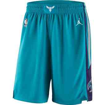Men's Jordan Brand Teal Charlotte Hornets Icon Swingman Basketball Shorts