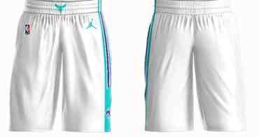 Men's Jordan Brand White Charlotte Hornets Icon Swingman Basketball Shorts