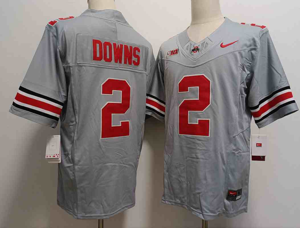Men's Ohio State Buckeyes #2  Caleb Downs Gray 2023 F.U.S.E. Limited Stitched Jersey